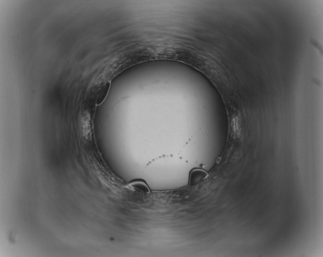 X0000101680963200807171408