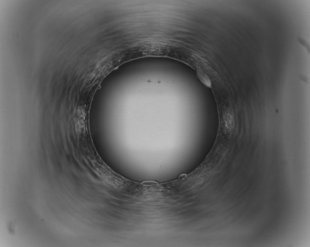 X0000101680964200807171408