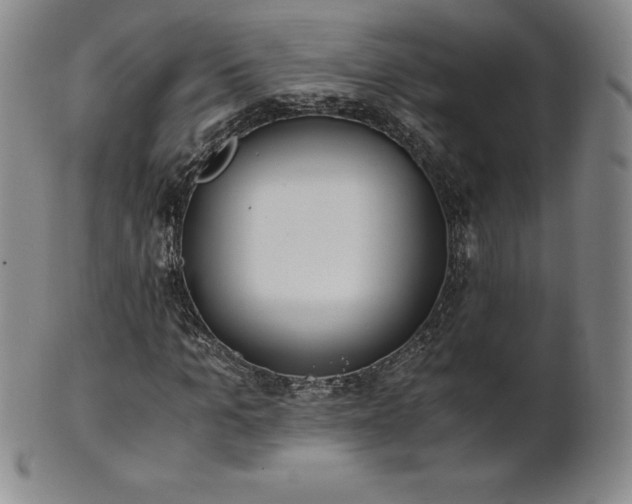 X0000101680965200807171408