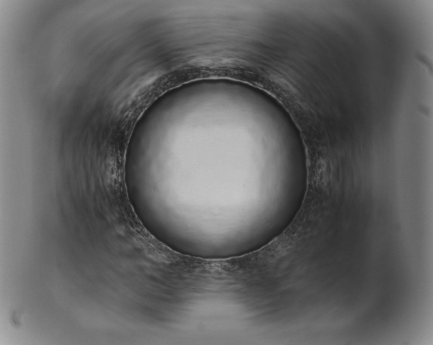 X0000101680966200807171408