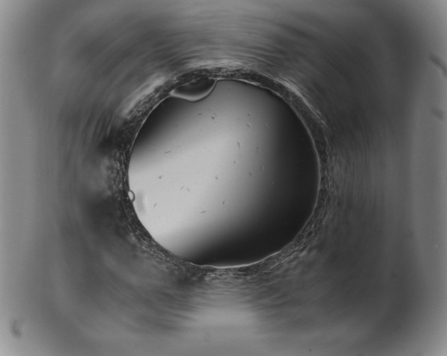 X0000101680967200807171408