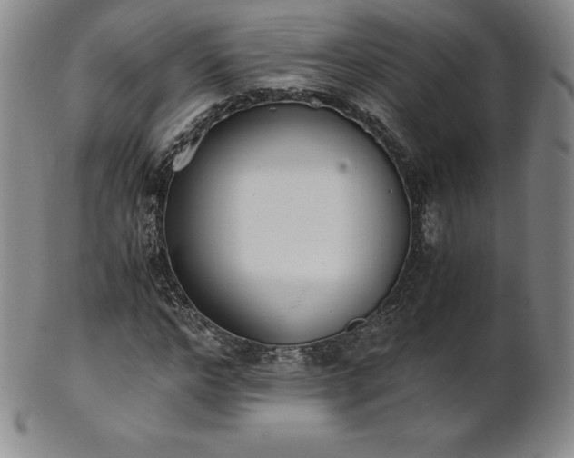 X0000101680968200807171408