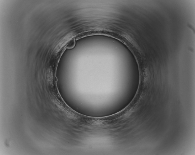 X0000101680969200807171408