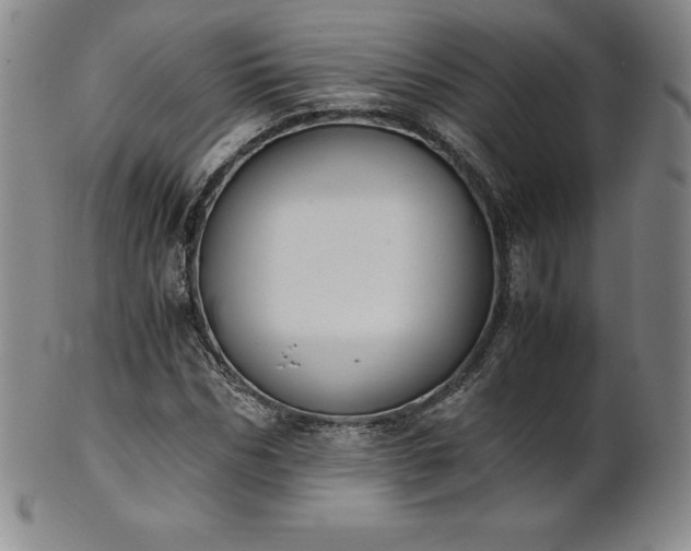 X0000101680970200807171408