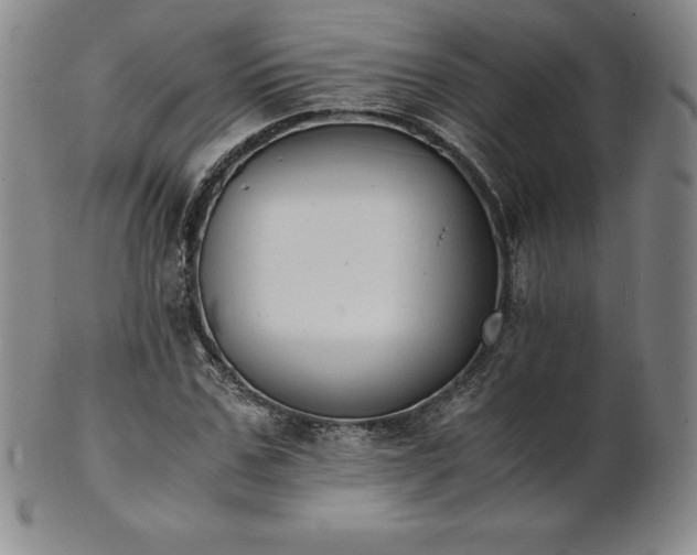 X0000101680971200807171407