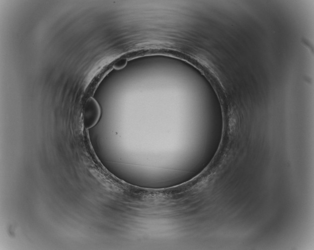 X0000101680973200807171407