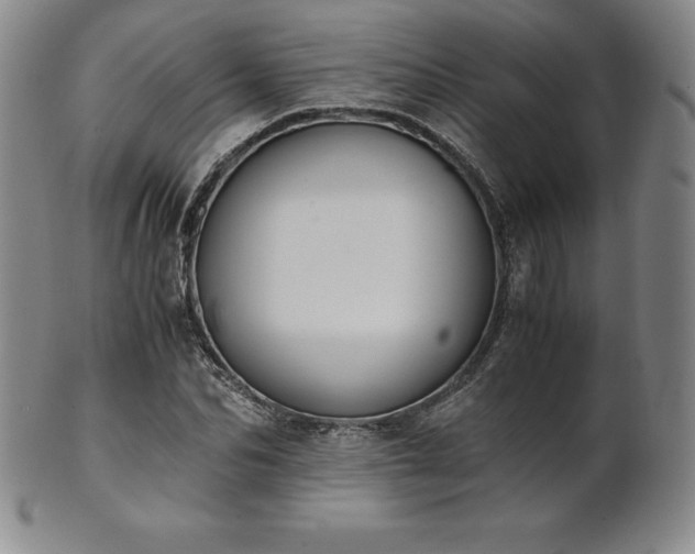 X0000101680974200807171407