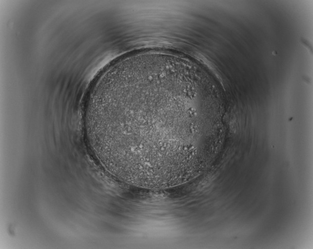 X0000101680975200807171407