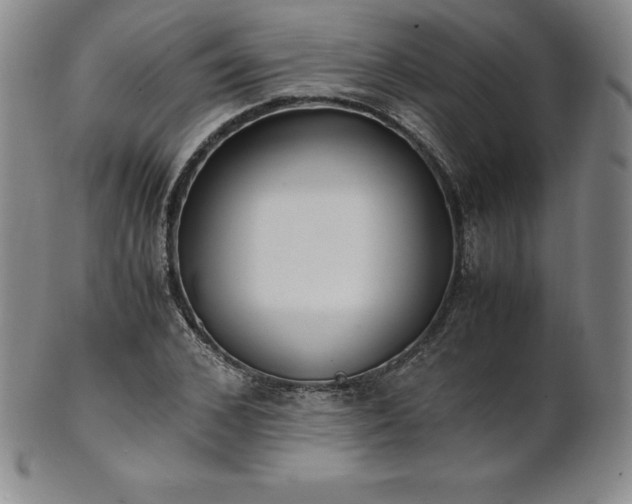 X0000101680976200807171407