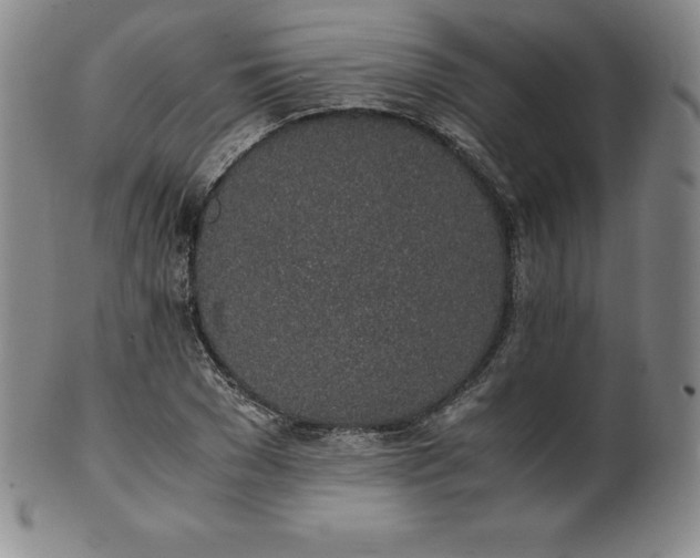 X0000101680977200807171407