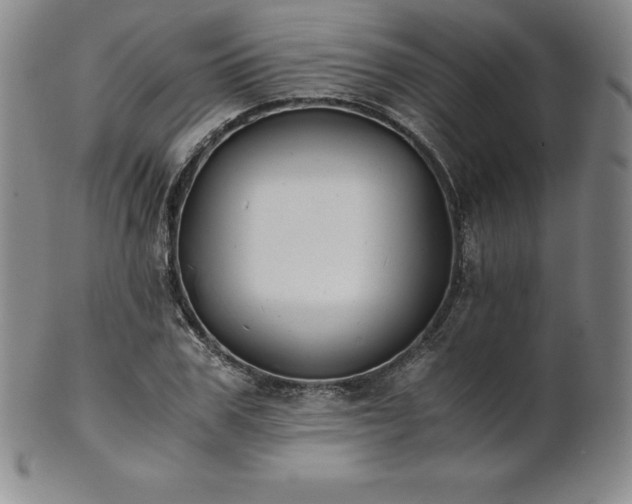 X0000101680979200807171407