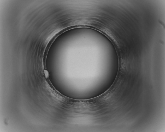 X0000101680980200807171407