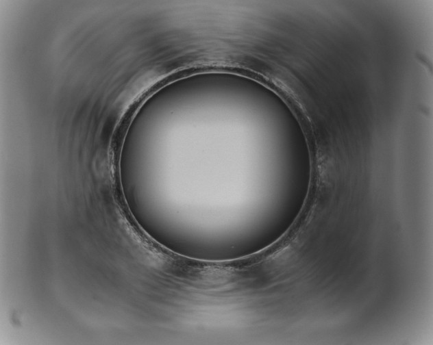 X0000101680981200807171407