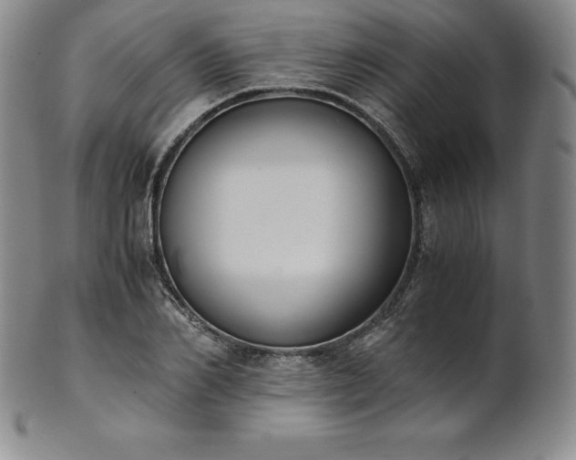 X0000101680982200807171407