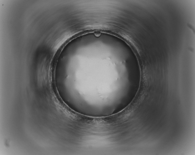 X0000101680983200807171407