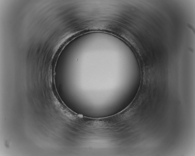 X0000101680984200807171407