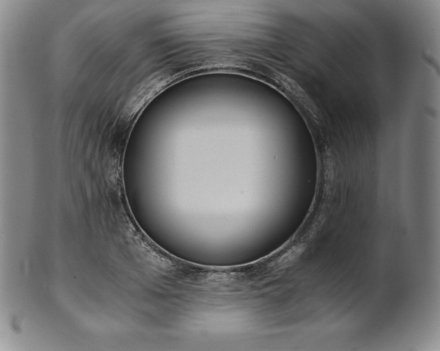 X0000101680985200807171407