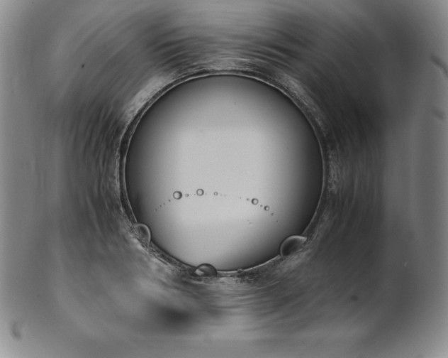 X0000101680986200807171407