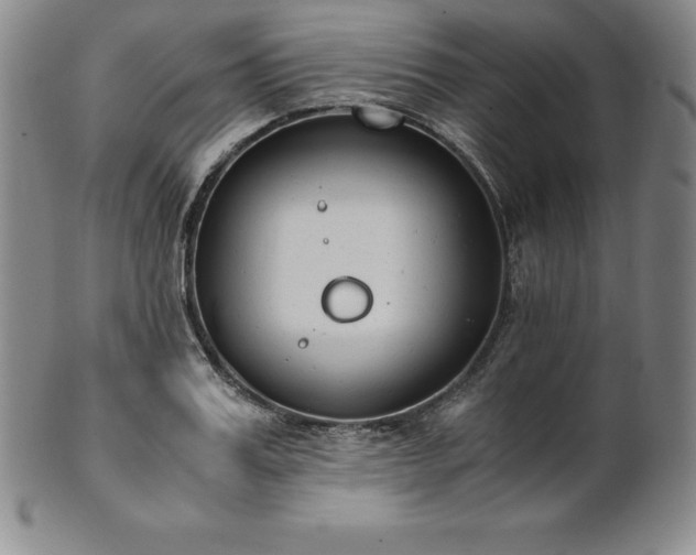 X0000101680987200807171407