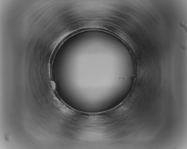 X0000101680988200807171407