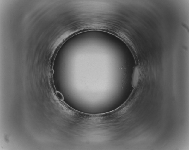 X0000101680989200807171407