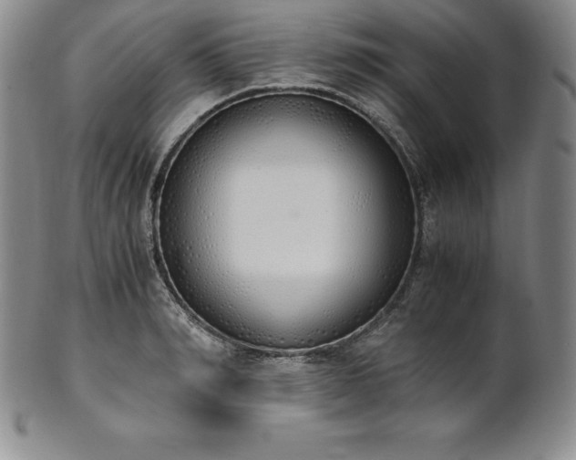 X0000101680990200807171407