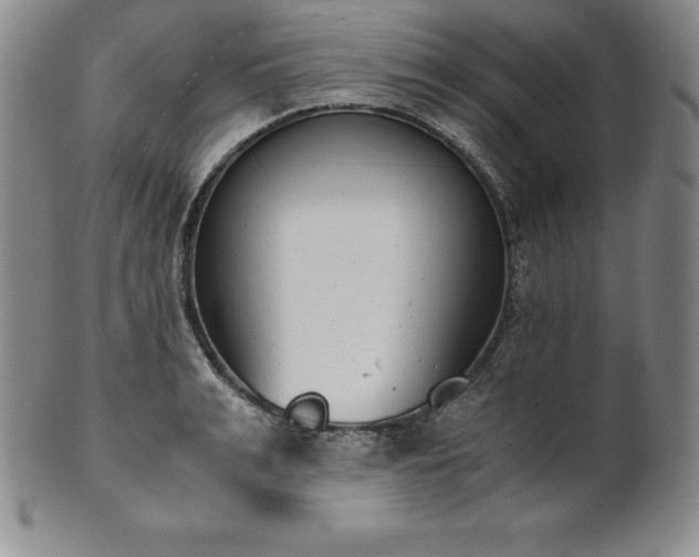 X0000101680991200807171407