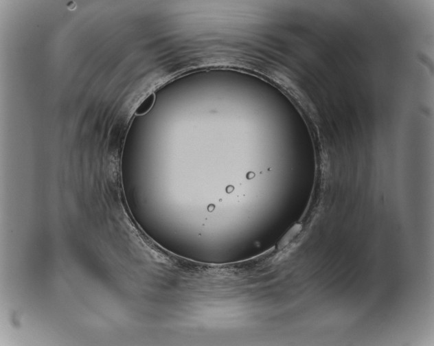 X0000101680993200807171407