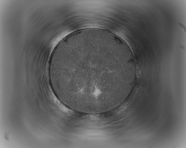 X0000101680995200807171407