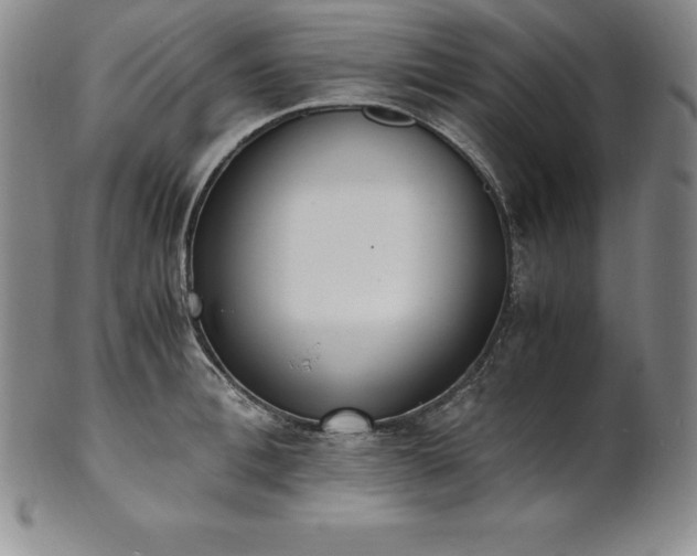 X0000101680996200807171407