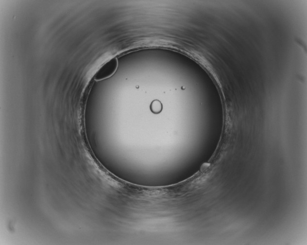 X0000101680997200807171407