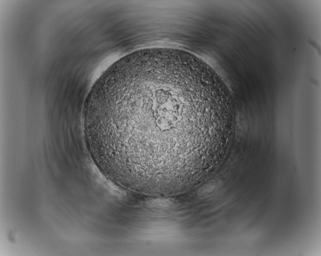 X0000101680998200807171407