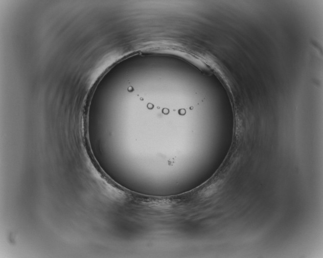 X0000101680999200807171407