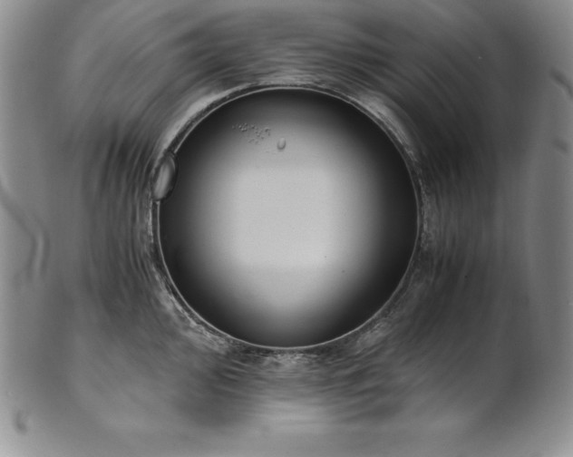 X0000101681000200807171407