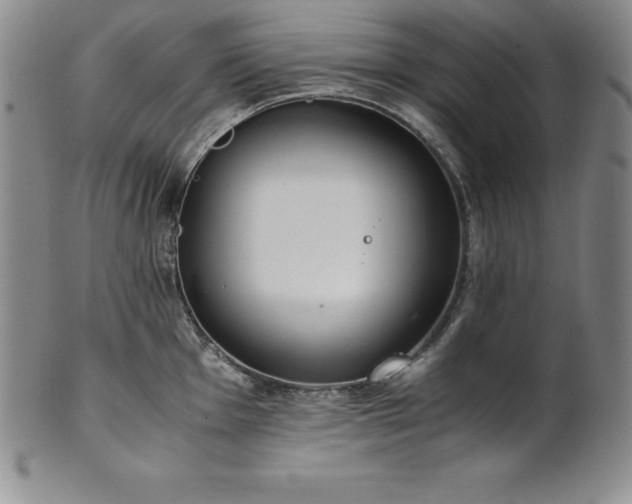 X0000101681001200807171407