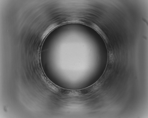 X0000101681002200807171407