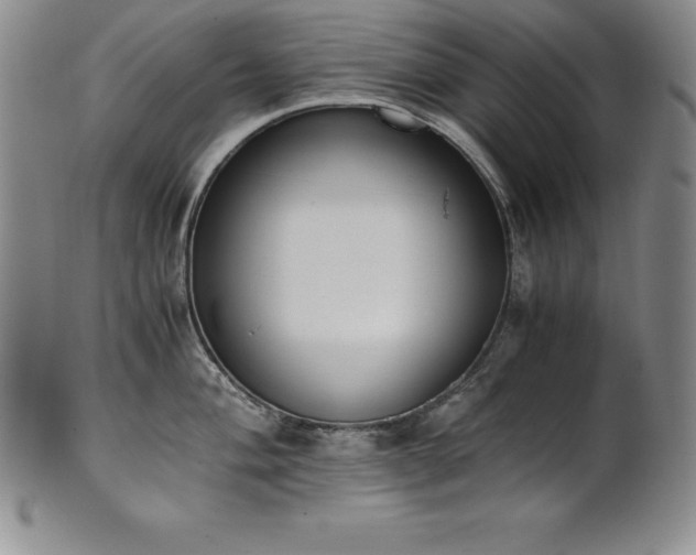 X0000101681004200807171407