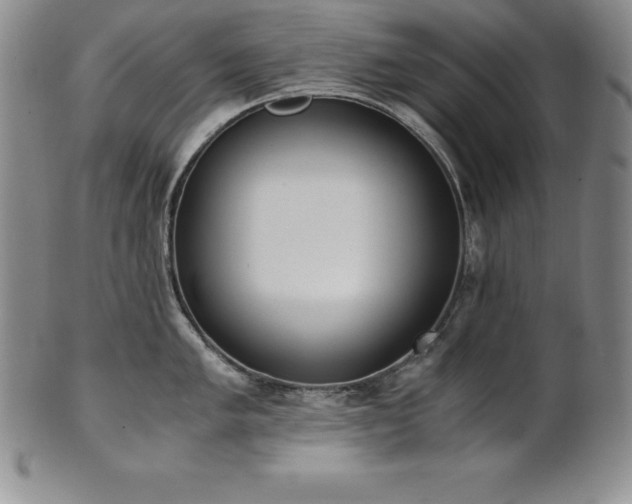 X0000101681005200807171407