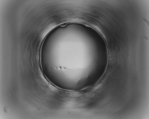 X0000101681007200807171407