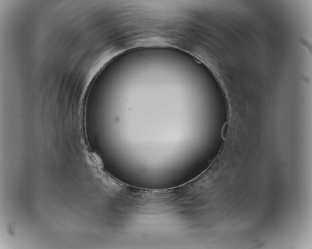 X0000101681008200807171407