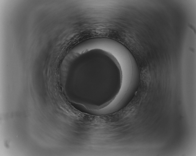 X0000101681009200807171406