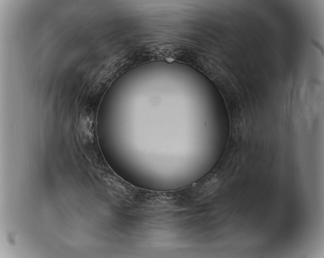 X0000101681010200807171406