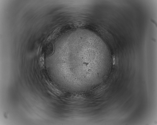 X0000101681011200807171406