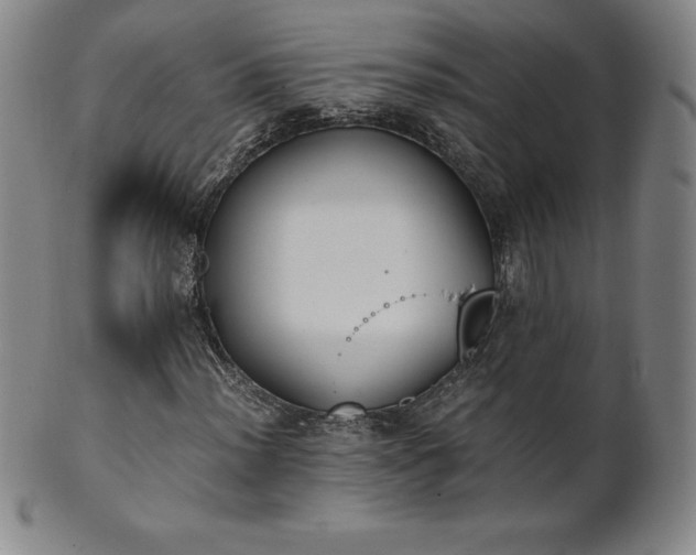 X0000101681012200807171406