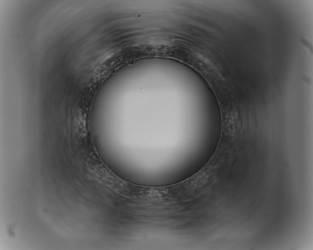 X0000101681013200807171406