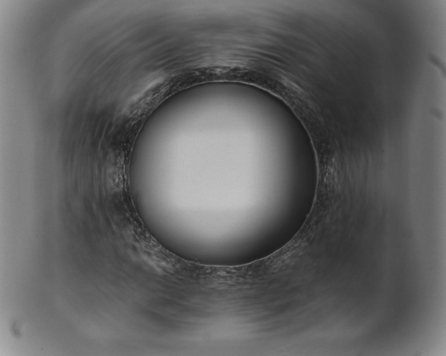 X0000101681014200807171406