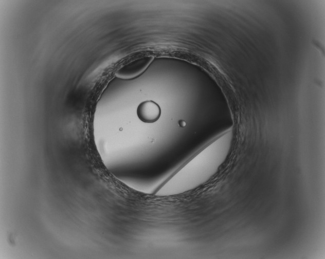 X0000101681016200807171406