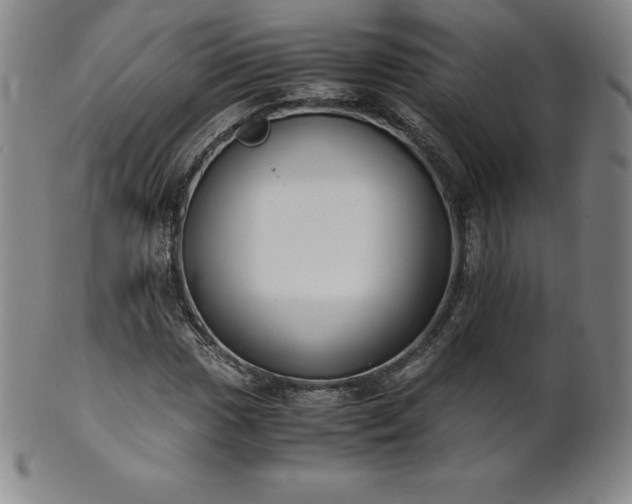 X0000101681017200807171406