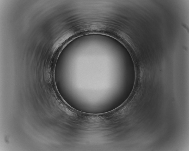 X0000101681018200807171406