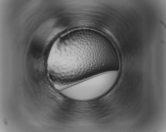 X0000101681019200807171406